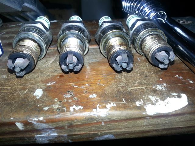 [Image: bosch_plugs.jpg]