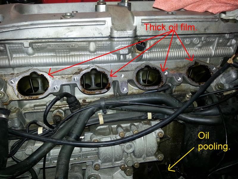 [Image: intake_oil.jpg]